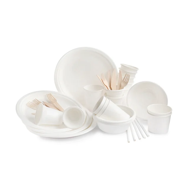 Disposable Plates & Cutlery — Packaging